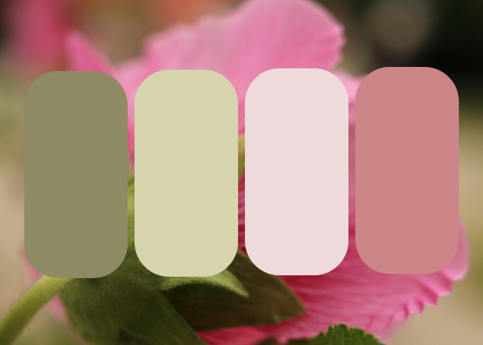 sage green dust pink